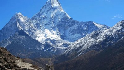 ​绿萝花茶的功效和作用（生长在喜马拉雅的养生茶）