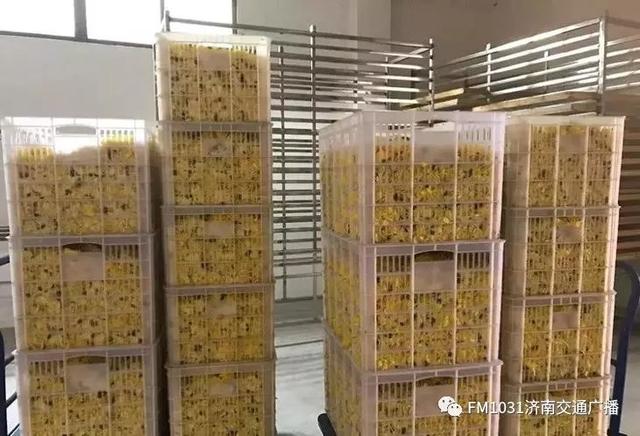 春季养肝护肝食谱大全（春季降火必备色泽金黄）(26)