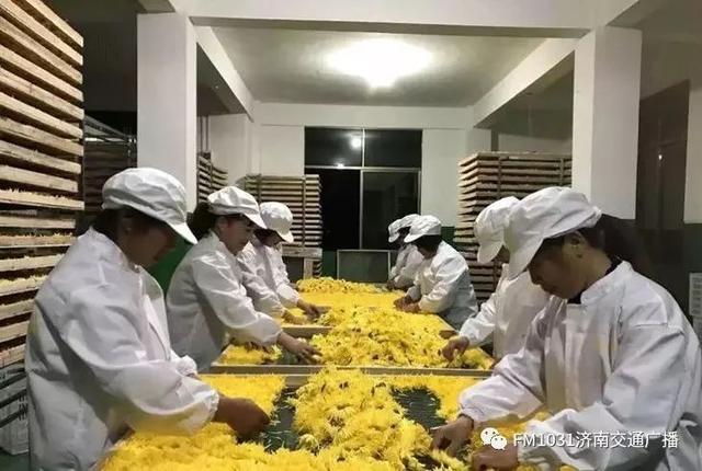 春季养肝护肝食谱大全（春季降火必备色泽金黄）(27)