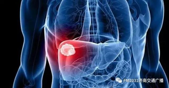 春季养肝护肝食谱大全（春季降火必备色泽金黄）(9)