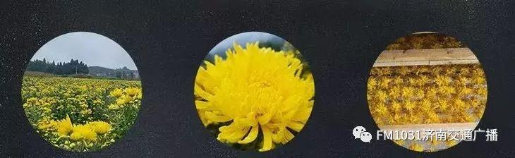 春季养肝护肝食谱大全（春季降火必备色泽金黄）(22)