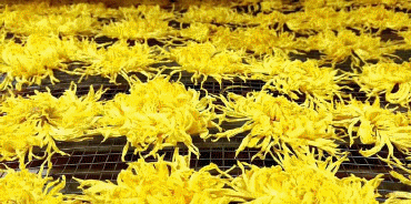 春季养肝护肝食谱大全（春季降火必备色泽金黄）(28)