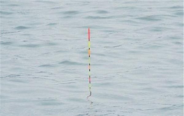 野钓鲫鱼怎样调漂最合适