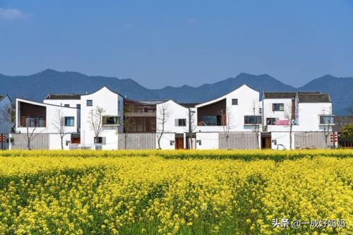 瓜田李下打一生肖-第2张图片-