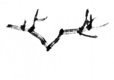 ​鹿角枝的画法 鹿角枝不会画？分步骤图解教你画，简单易学