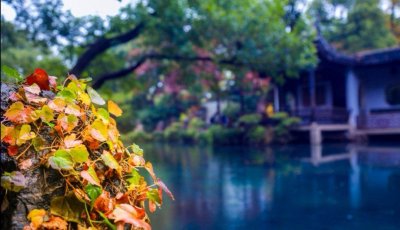 ​秋风秋雨秋渐凉，秋叶秋水秋意浓，摄影，美图