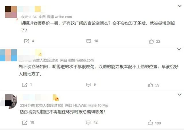 环球时报的总编胡锡进简历（胡锡进离任环球时报总编辑）(5)