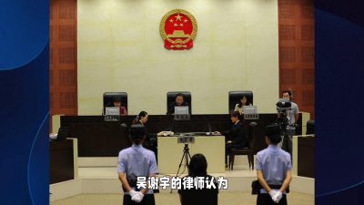 ​吴谢宇弑母最新进展