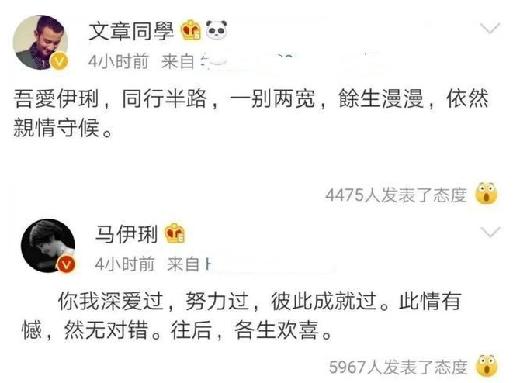 马伊琍文章为什么要离婚（文章出轨五年后）(20)