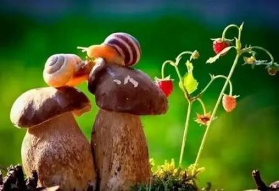 ​一个有老婆的男人会爱上另一个女人吗?(已婚男人真爱一个女人是什么样的?)