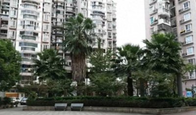 ​颠了！温州欧洲城房价都才7300一平？