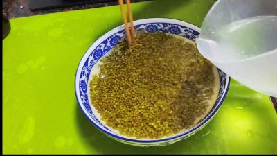 ​发绿豆芽用开水烫一下绿豆，四天就能收获豆芽，发了一大盘