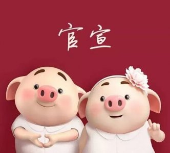 ​情侣官宣配图