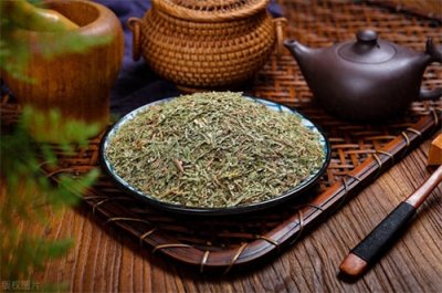 ​侧柏——凉血止血养心