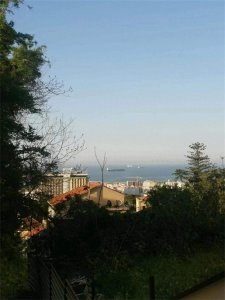 ​阿尔及利亚可以这样美