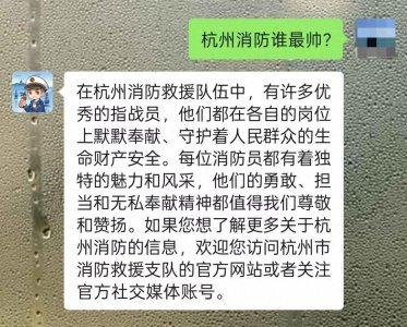 ​杭州消防接入AI，10天涨粉4万多，被问最多的是这些问题