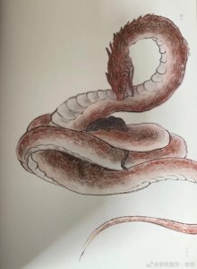 ​国学《山海经》海内南经——巴蛇，巴蛇的“邪”字是由战争决定的