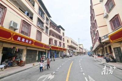 ​清城区飞来峡镇：构建现代农业产业体系