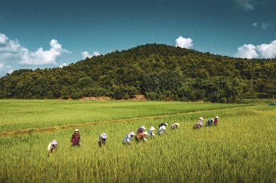 ​最完整农村政策改革方略：鼓励农民回流，优化养老环境