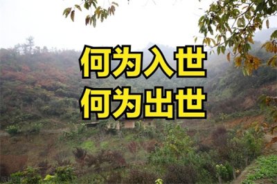 ​修行中，何为入世，何为出世？你的理解对吗？