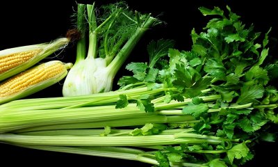 ​潍坊寿光特产有哪些