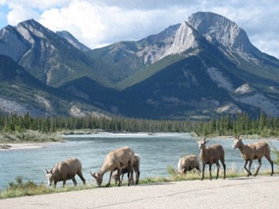 ​都说“众生平等”，你知道平等在于哪里吗？