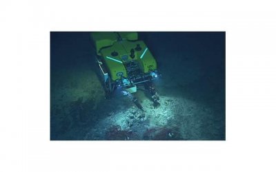 ​恋爱期间对象一天不聊天，恋爱期间喊对象什么