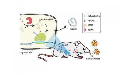 ​最好看的漫画（知音漫客十部最火漫画推荐）