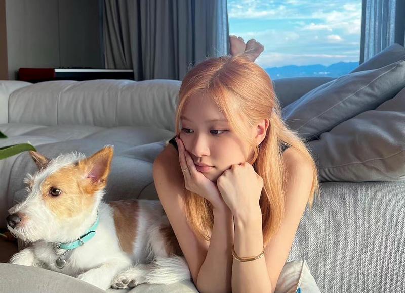  李荣浩杨丞琳领证结婚