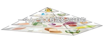 ​一个人一生大概吃多少吨食物?A40:B10:C70 一个人一生要吃多少吨食物