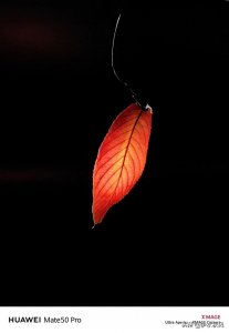 ​回归理性，科学质疑，接受事实