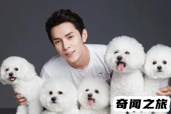 李佳琦最近出什么事了神秘消失近百天(网传近期开播)(2)_