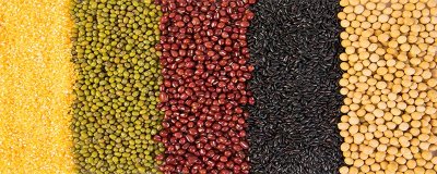 ​粮食的重要性