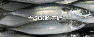 ​青占鱼有营养吗 什么人不能吃青占鱼