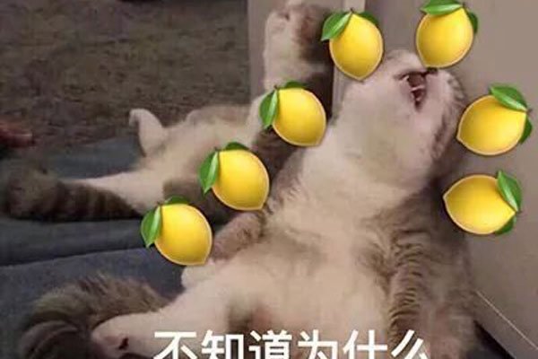 影视剧中女孩叫床有什么技巧 词汇一点都不重要