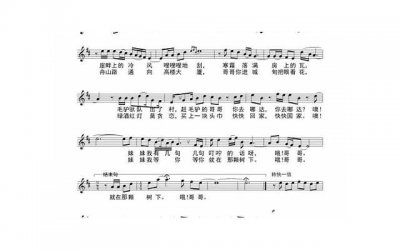 ​《去有风的地方》（去有风的地方夏夏扮演者）