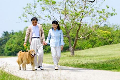 早晨在树林散步好吗 早晨几点散步最好