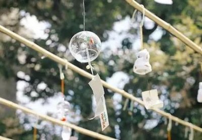 ​质量好的网线品牌有哪些：十大品牌