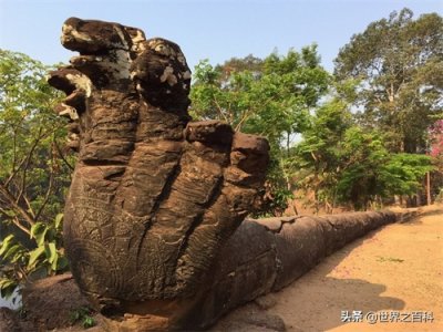 ​五头蛇究竟什么来历？一眼看到让人毛骨悚然