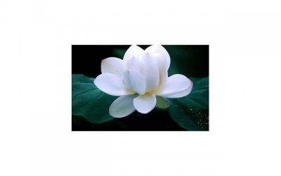 女生最容易动情的时刻，男生必知