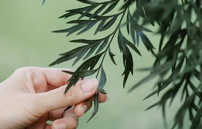 ​“北大吴谢宇弑母案”的心酸细节曝光