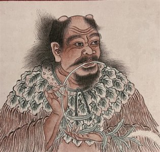 ​带您详细了解上古大神——神农