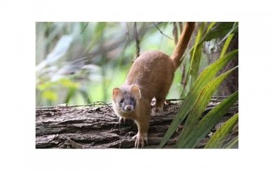 ​给岳父岳母的端午节贺词 微信祝朋友端午节的贺词