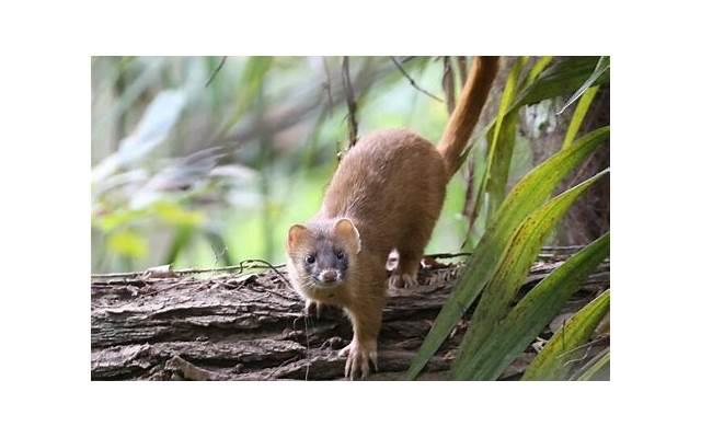 给岳父岳母的端午节贺词 微信祝朋友端午节的贺词