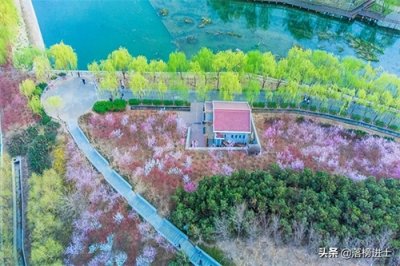 石家庄有一座翠屏湿地公园，风景秀丽免门票，是踏青赏花的好去处