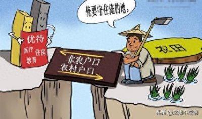 ​农村人注意了，农村户口可享受这四大好处，迁出就全没了