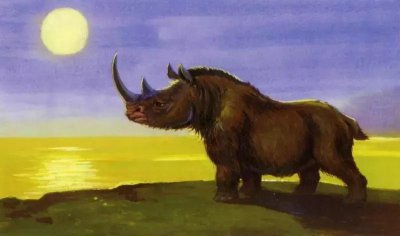 ​大庆·文物 | 披毛犀：最晚灭绝的史前犀牛