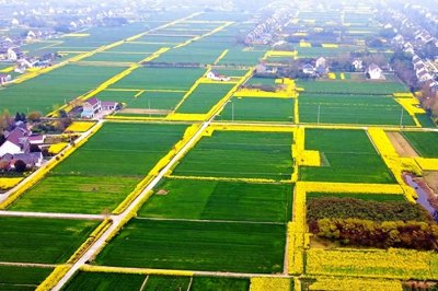 ​何为高标准农田，为何要建设高标准农田