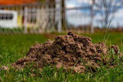 ​“春打六九头，遍地是土堆”啥意思？2月5日交六九，有啥讲究？