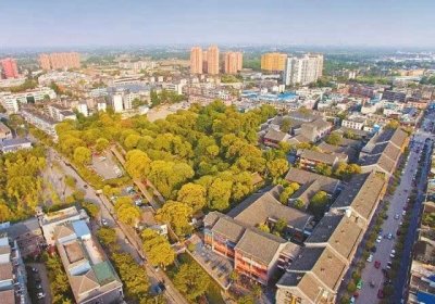 ​新繁，落水的凤凰不如鸡